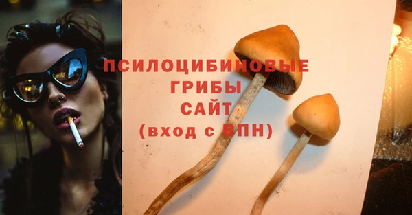 PSILOCYBIN Горняк